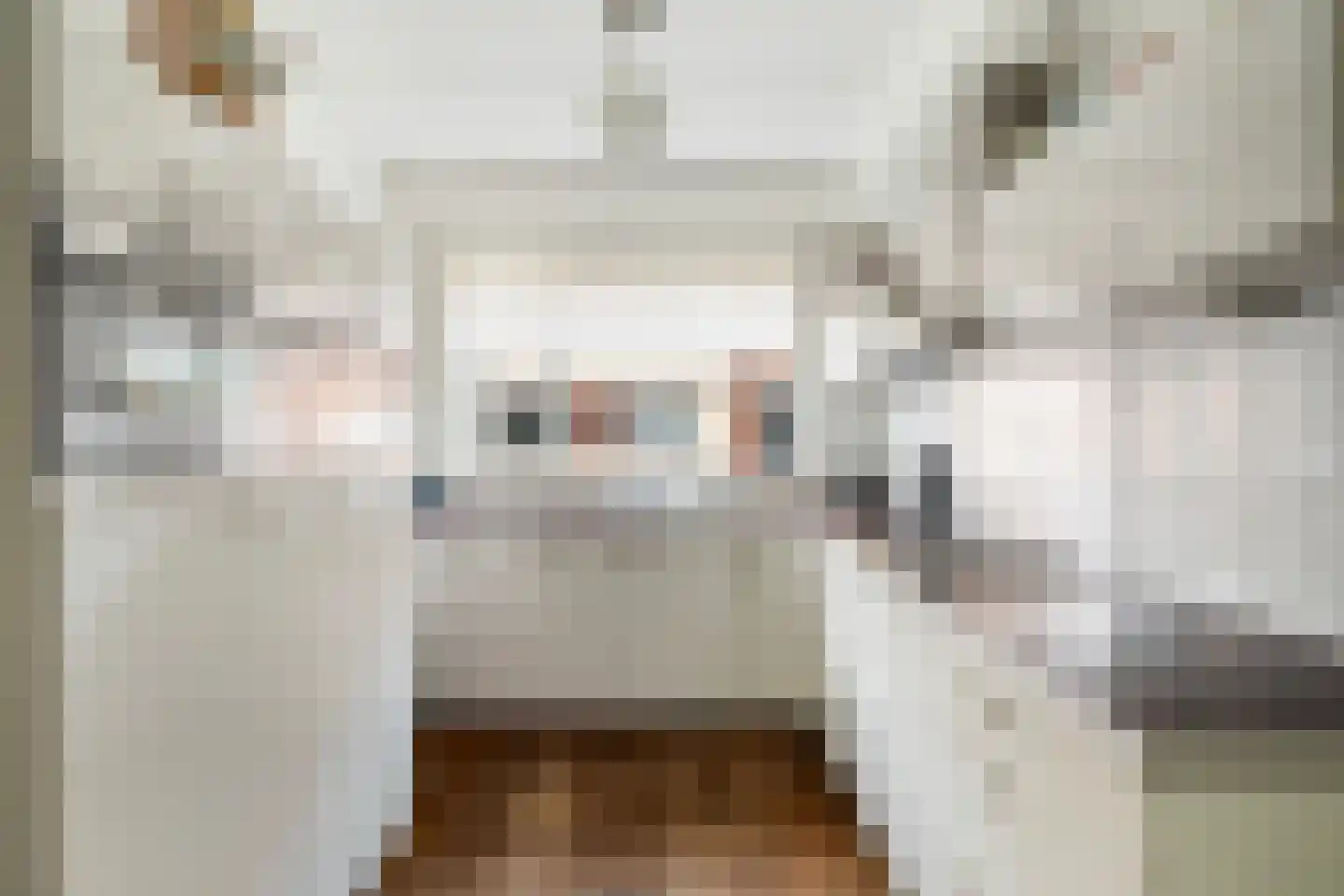 Rodium 6 Rhoon thumbnail 6