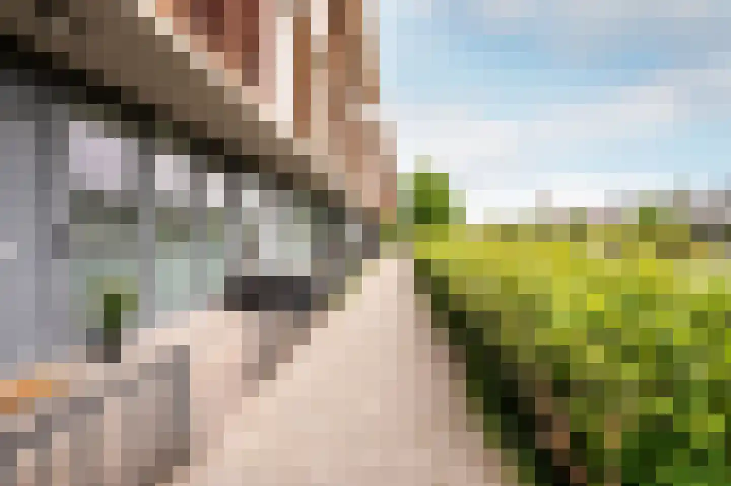 Rodosstraat 27 Almere thumbnail 10