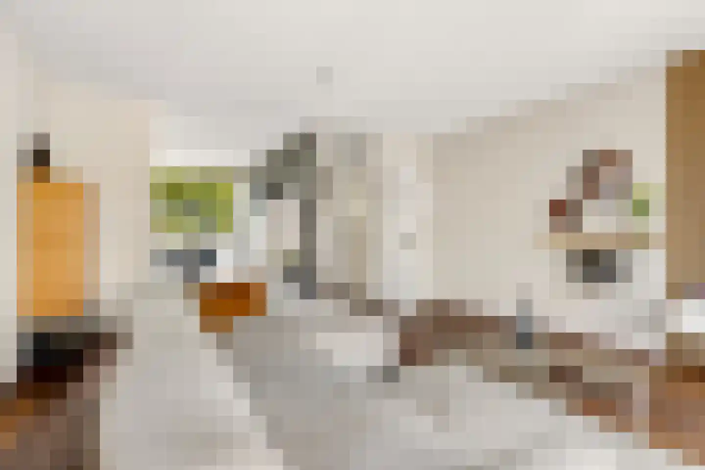 Rodosstraat 43 Almere thumbnail 31