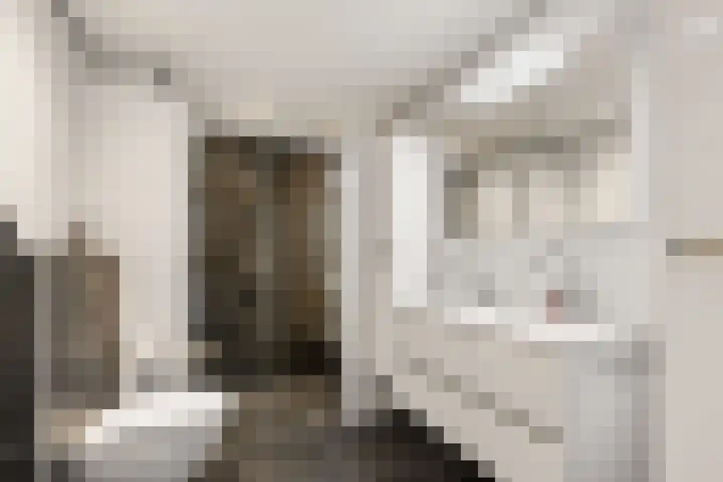 Rodosstraat 43 Almere thumbnail 39
