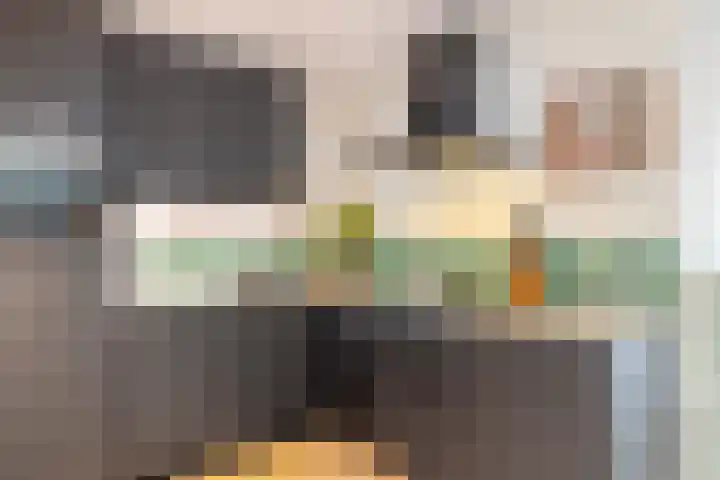 Roebelhof 6 Valkenswaard thumbnail 19