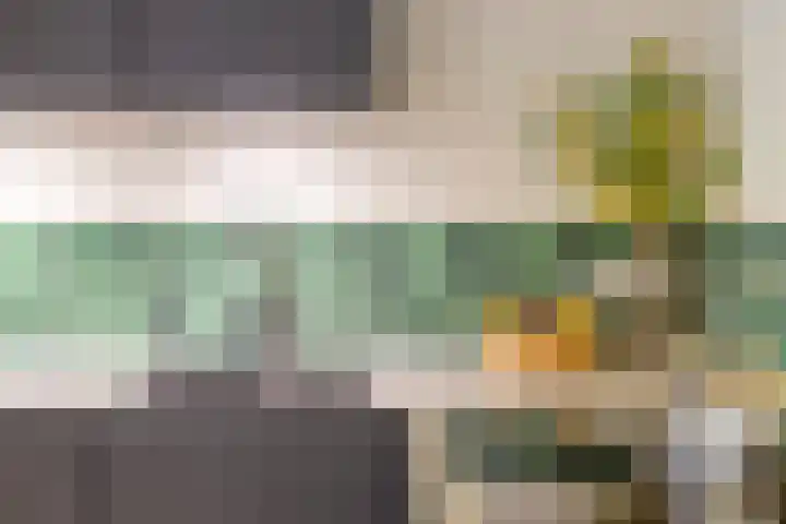 Roebelhof 6 Valkenswaard thumbnail 20