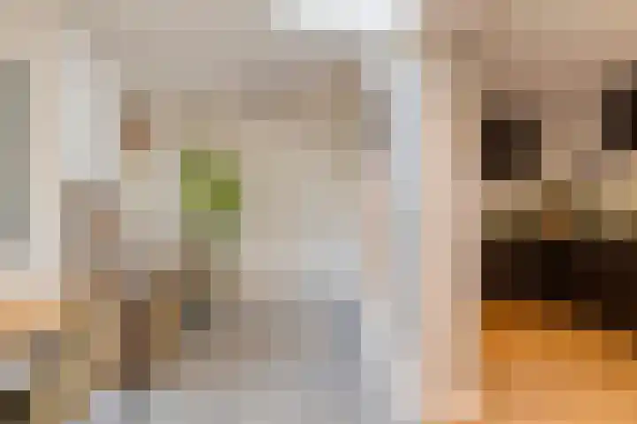 Roebelhof 6 Valkenswaard thumbnail 25