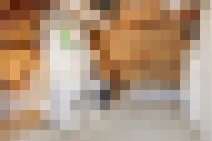 Roebelhof 6 Valkenswaard thumbnail 37