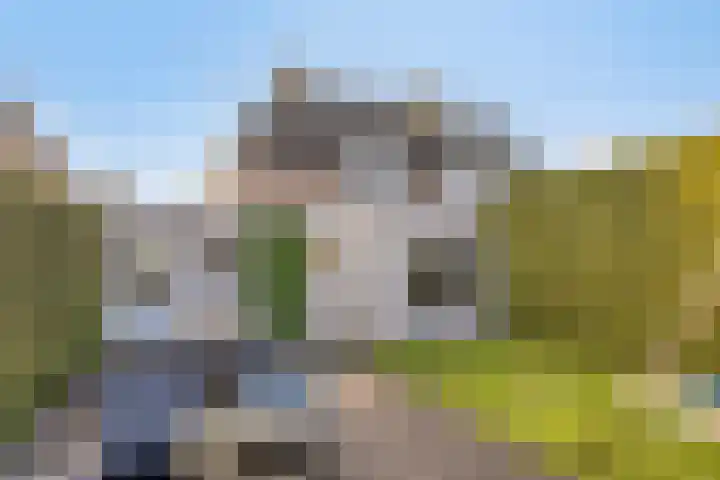 Roebelhof 6 Valkenswaard thumbnail 4