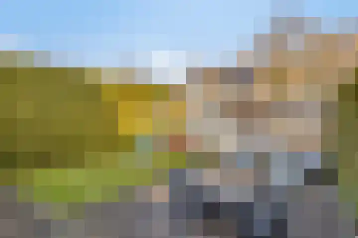 Roebelhof 6 Valkenswaard thumbnail 40