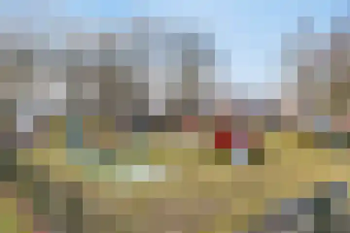 Roebelhof 6 Valkenswaard thumbnail 42