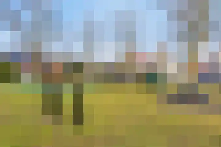 Roebelhof 6 Valkenswaard thumbnail 43