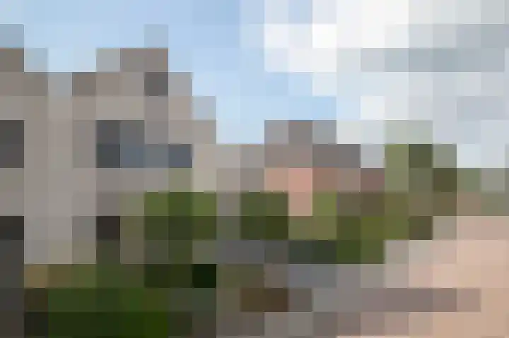 Roebol 13 Genemuiden thumbnail 12