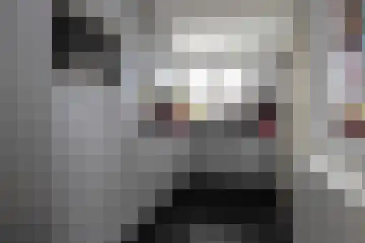 Roebol 13 Genemuiden thumbnail 24