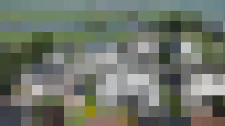 Roebol 13 Genemuiden thumbnail 29