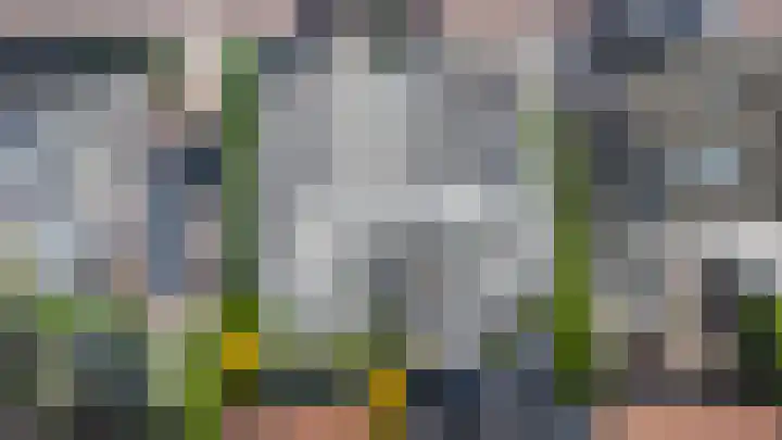 Roebol 13 Genemuiden thumbnail 30