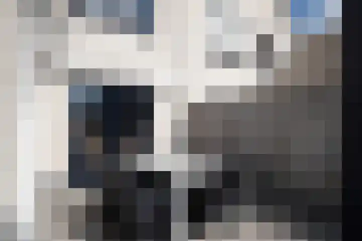 Roebol 13 Genemuiden thumbnail 35