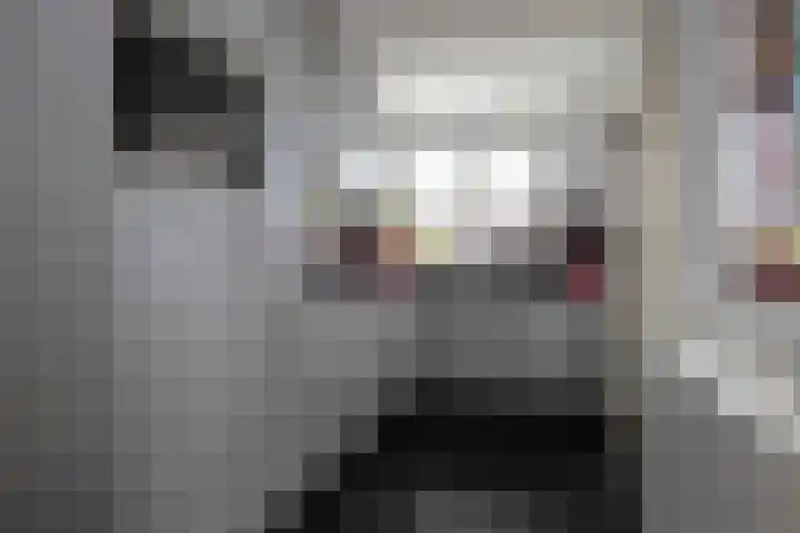 Roebol 13 Genemuiden thumbnail 4