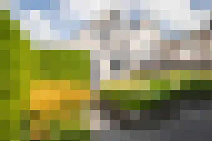 Roebol 13 Genemuiden thumbnail 41