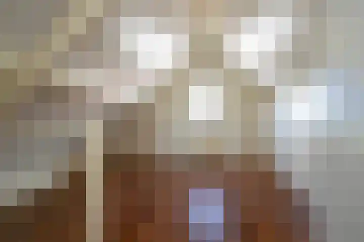 Roebol 13 Genemuiden thumbnail 57
