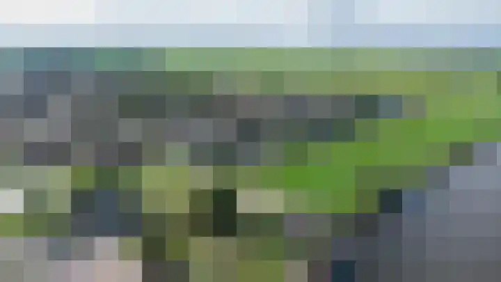 Roebol 13 Genemuiden thumbnail 7