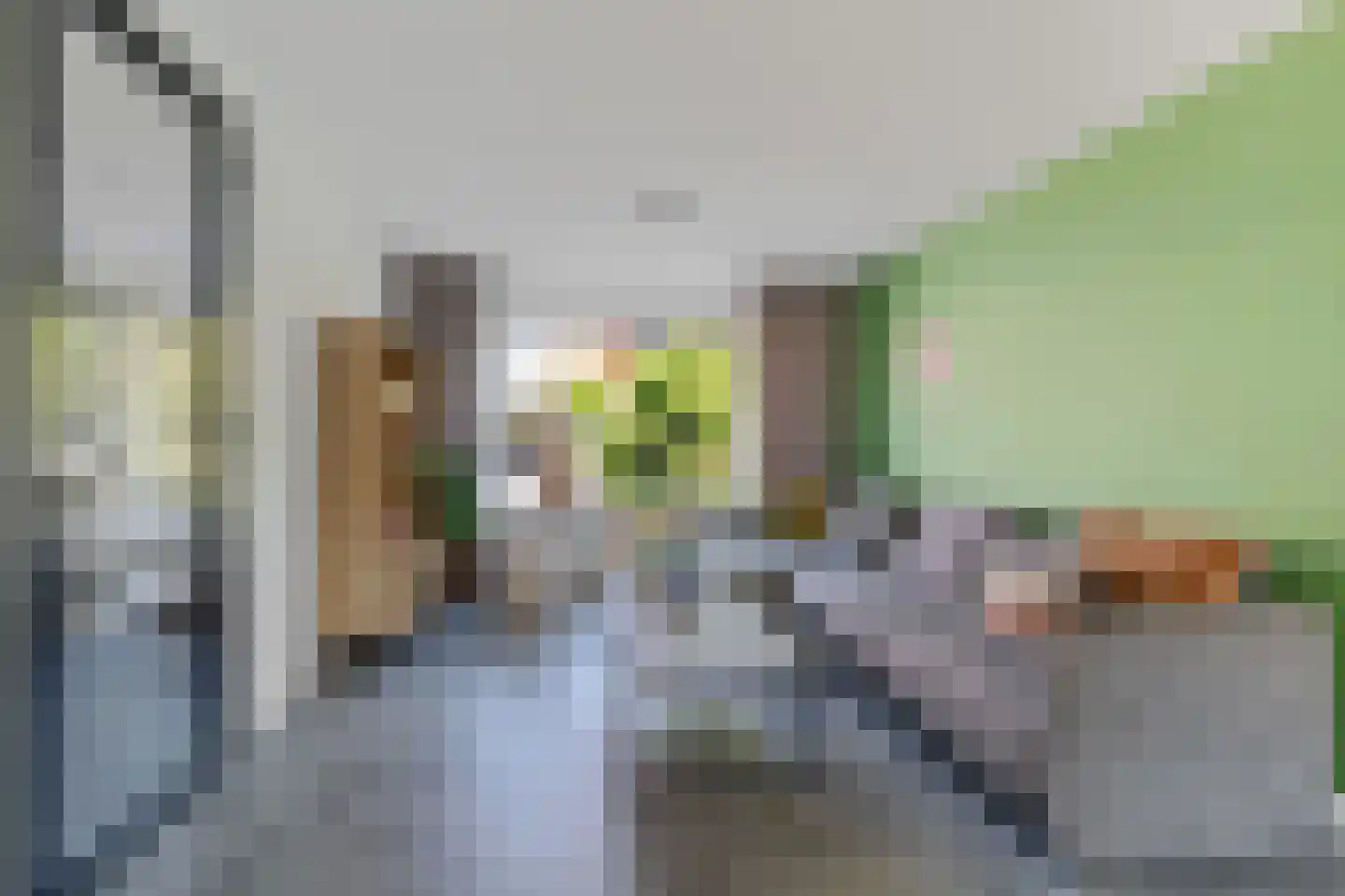 Roebol 49 Genemuiden thumbnail 18