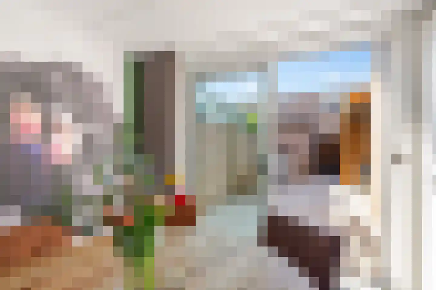 Roebol 49 Genemuiden thumbnail 25
