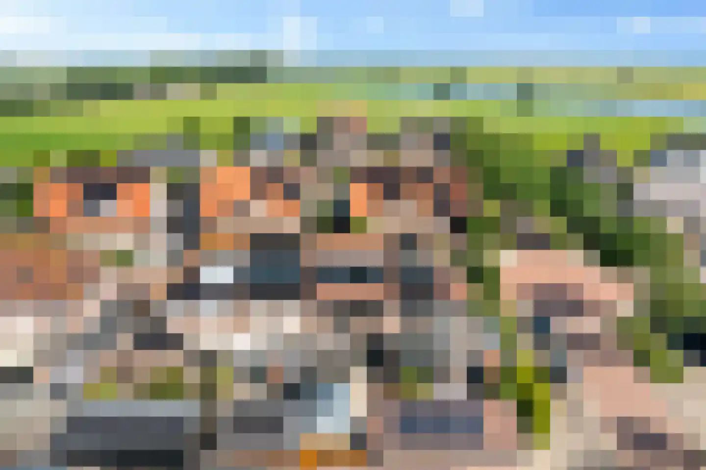 Roebol 49 Genemuiden thumbnail 30