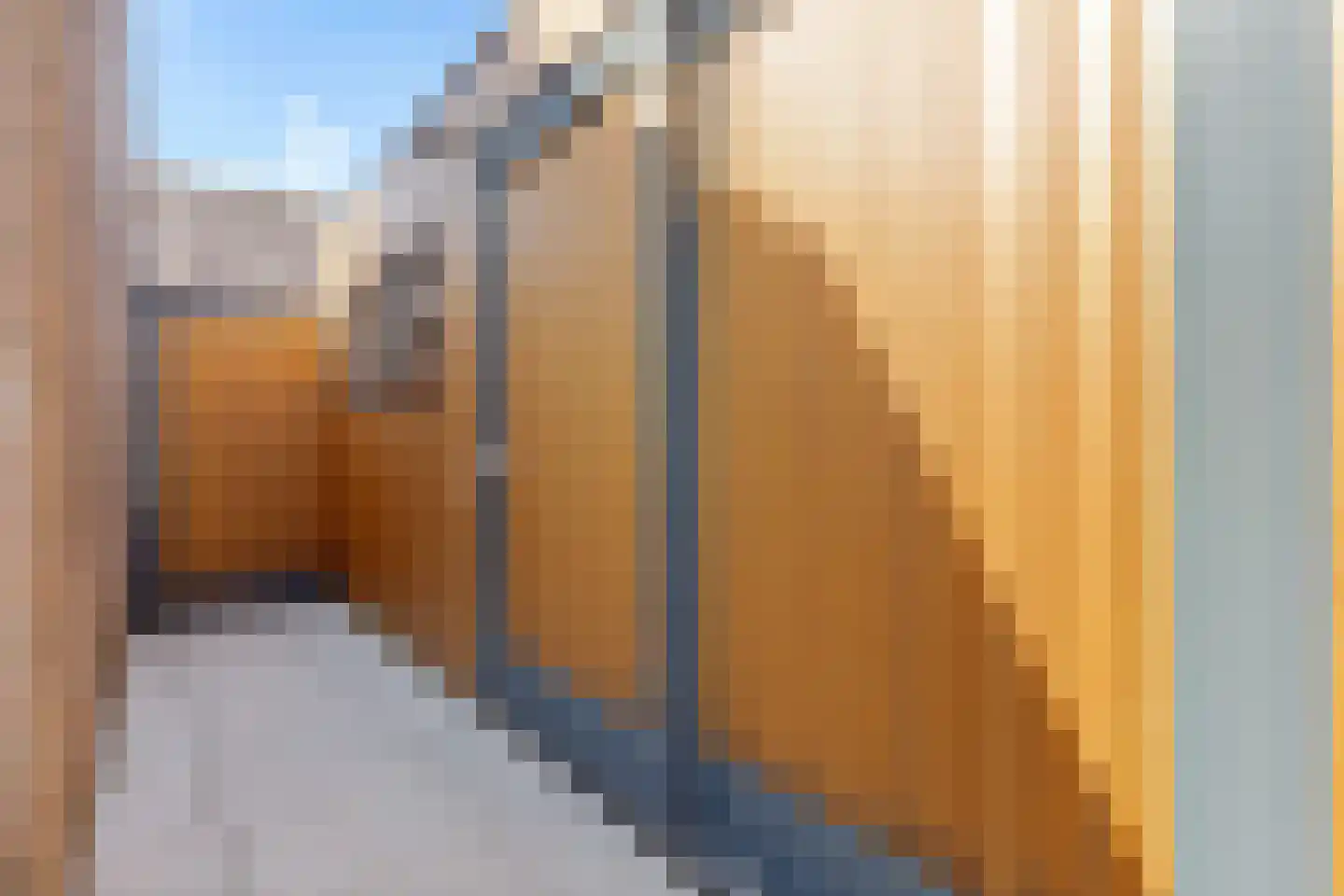 Roebol 49 Genemuiden thumbnail 31