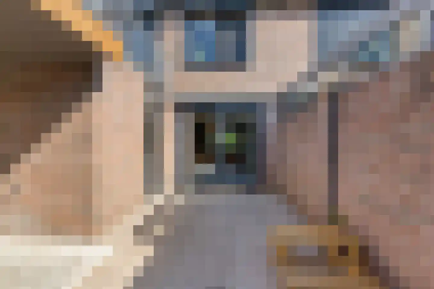 Roebol 49 Genemuiden thumbnail 33
