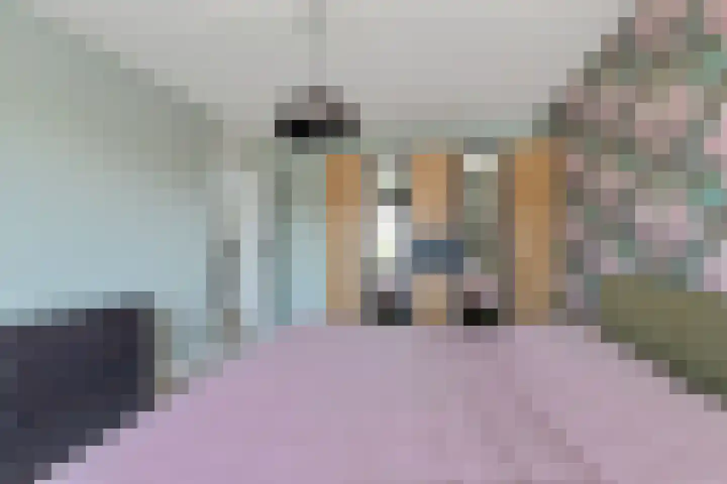 Roebol 49 Genemuiden thumbnail 43