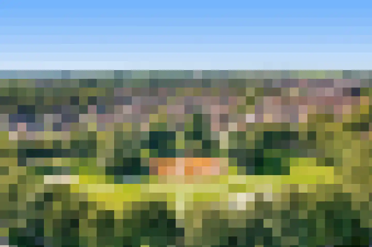 Roebol 49 Genemuiden thumbnail 5