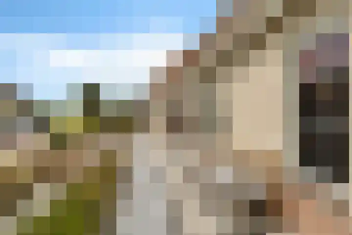 Roebol 54 Genemuiden thumbnail 10