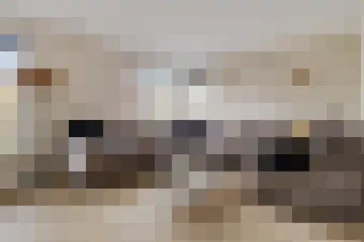 Roebol 54 Genemuiden thumbnail 15