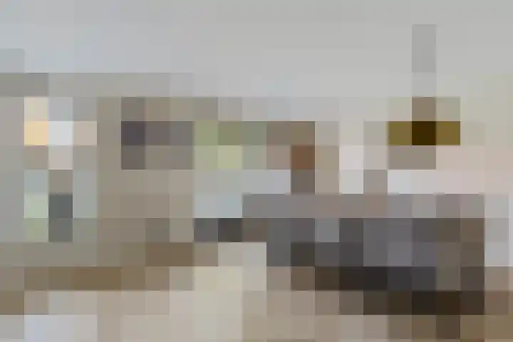 Roebol 54 Genemuiden thumbnail 19