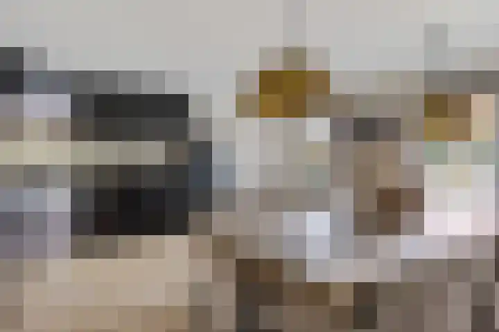 Roebol 54 Genemuiden thumbnail 22