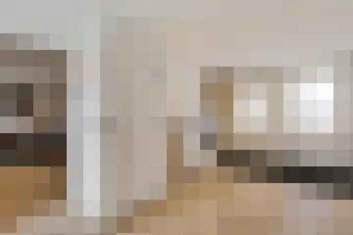 Roebol 54 Genemuiden thumbnail 24