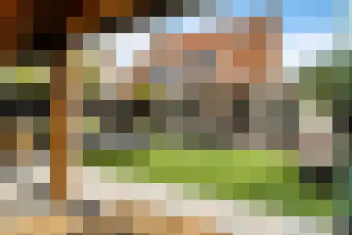 Roebol 54 Genemuiden thumbnail 26