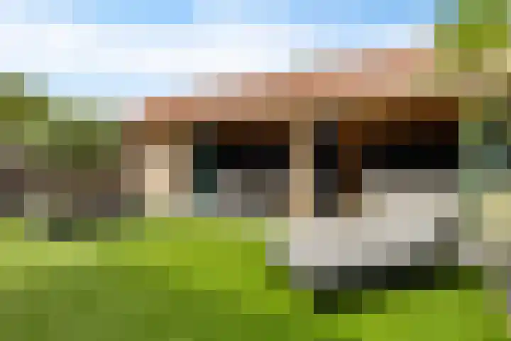 Roebol 54 Genemuiden thumbnail 27