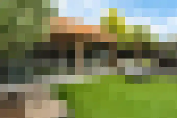 Roebol 54 Genemuiden thumbnail 30