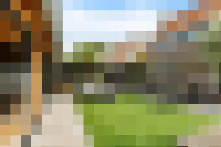 Roebol 54 Genemuiden thumbnail 31