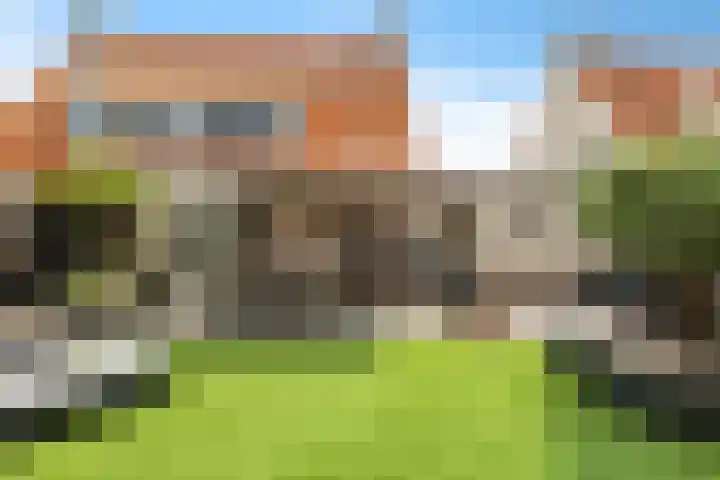Roebol 54 Genemuiden thumbnail 33