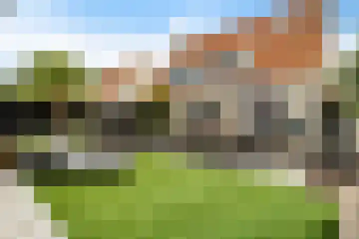 Roebol 54 Genemuiden thumbnail 34
