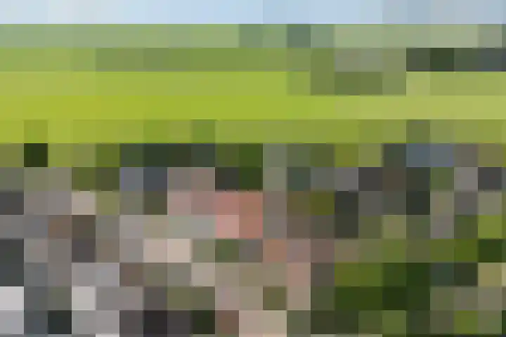 Roebol 54 Genemuiden thumbnail 36