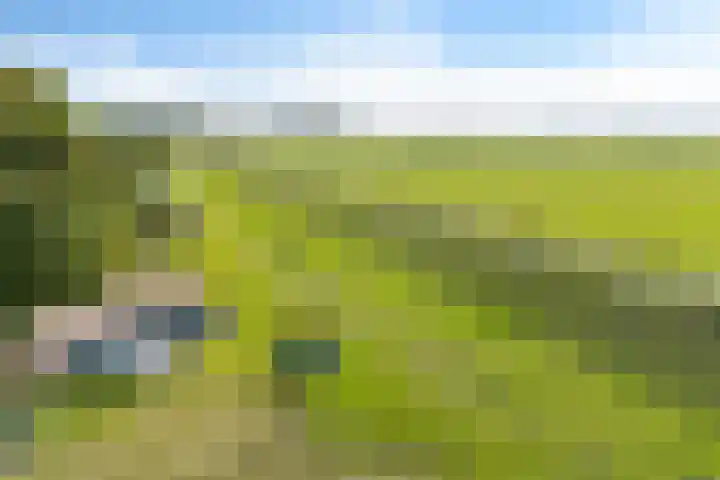 Roebol 54 Genemuiden thumbnail 38