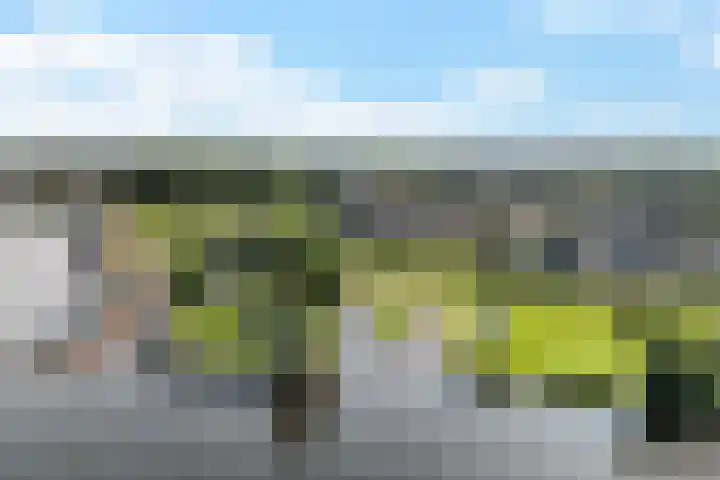Roebol 54 Genemuiden thumbnail 39