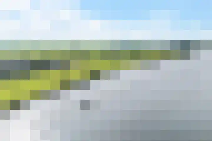Roebol 54 Genemuiden thumbnail 40