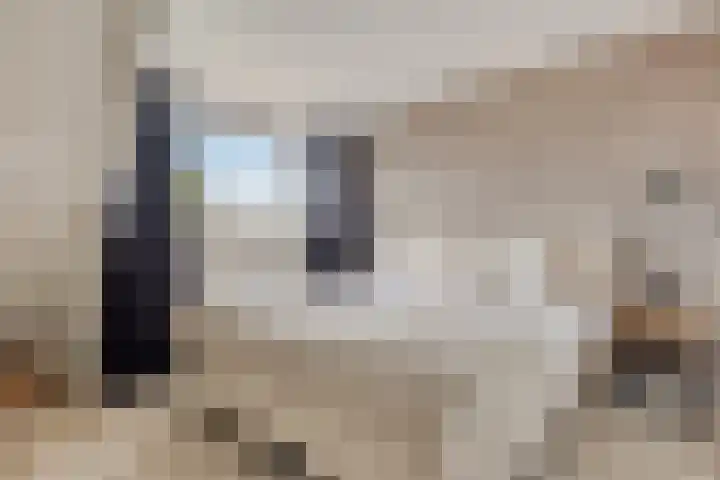 Roebol 54 Genemuiden thumbnail 42