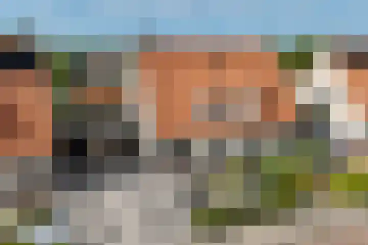 Roebol 54 Genemuiden thumbnail 6