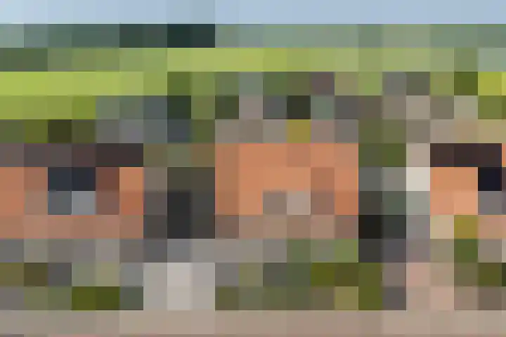Roebol 54 Genemuiden thumbnail 7