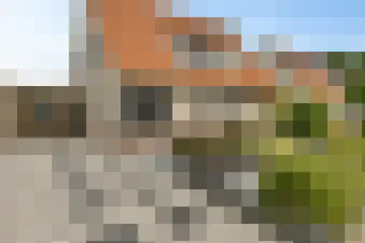 Roebol 54 Genemuiden thumbnail 9