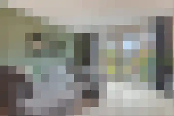 Roede 3 Nunspeet thumbnail 10