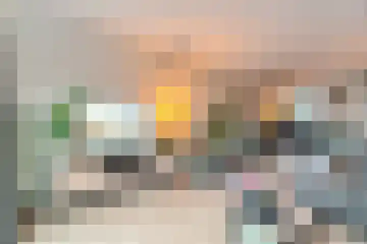 Roede 3 Nunspeet thumbnail 13