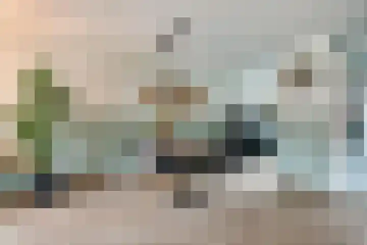 Roede 3 Nunspeet thumbnail 15
